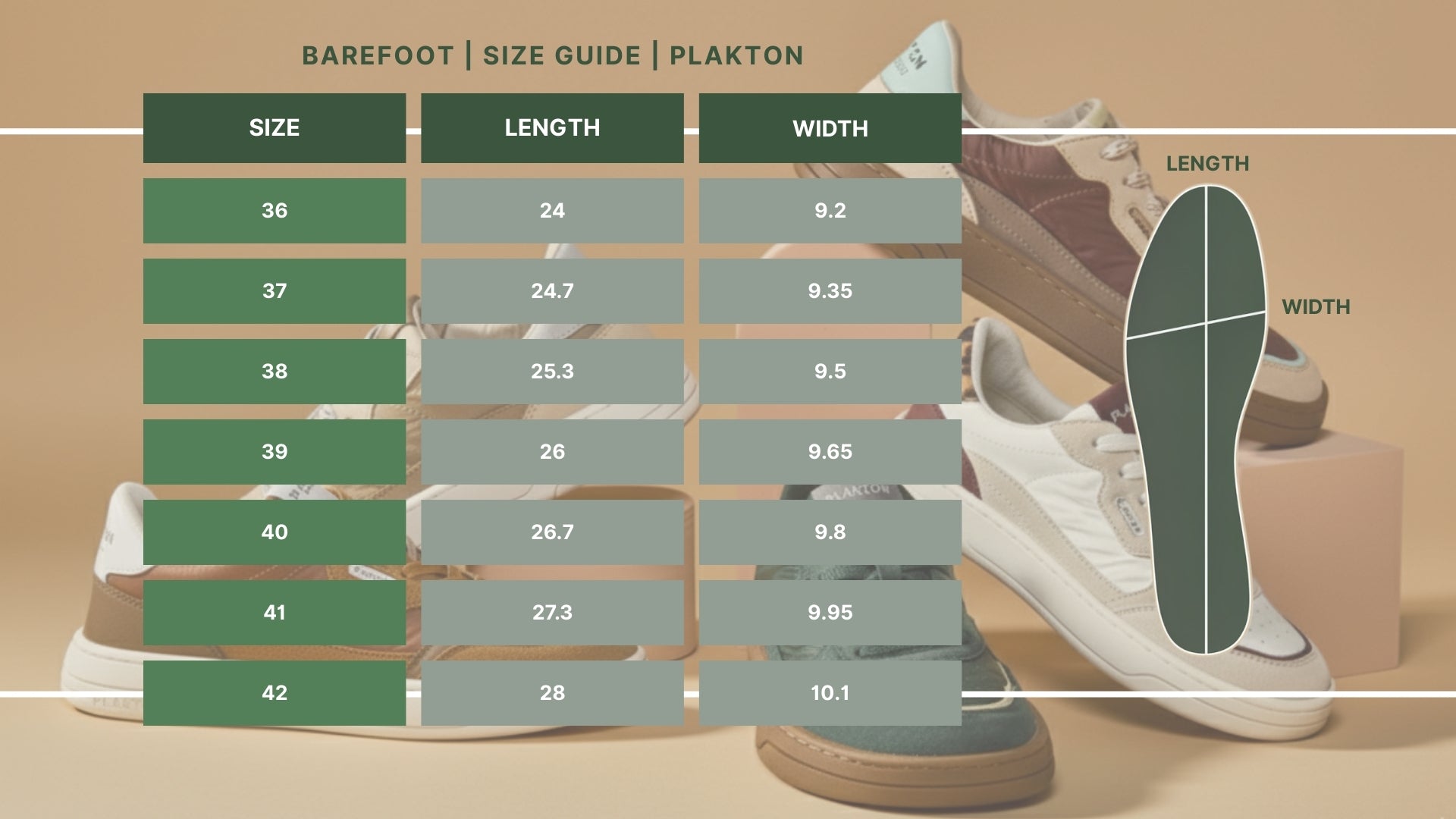 Plakton Europe